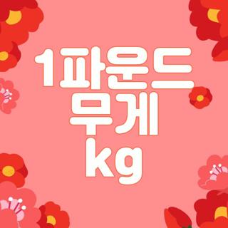 1파운드 무게 kg