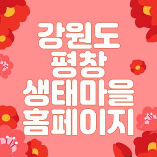 강원도 평창 생태마을 홈페이지