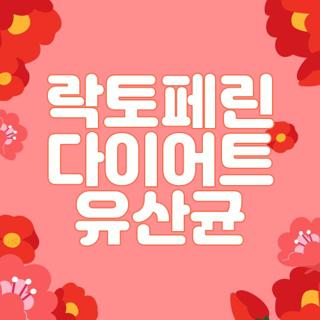 락토페린 다이어트 유산균