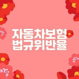 자동차보험 법규위반율
