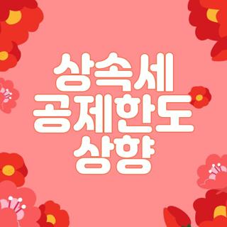 상속세 공제한도 상향