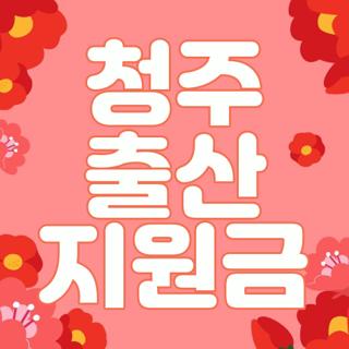 청주 출산 지원금