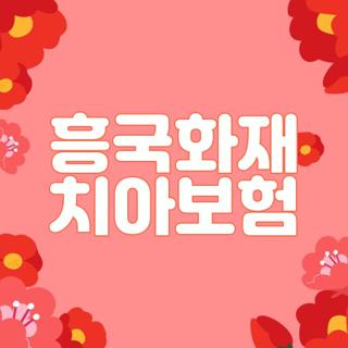 흥국화재 치아보험