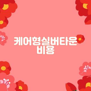 케어형실버타운 비용