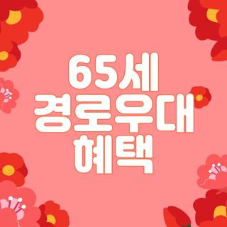 65세 경로우대 혜택