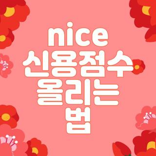 nice 신용점수 올리는 법